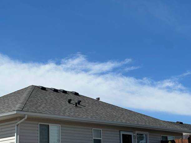 Steel Roofing in Twin Lakes, WI